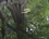 C݂̊̒